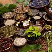 Herbs