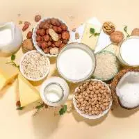 Vegan Products