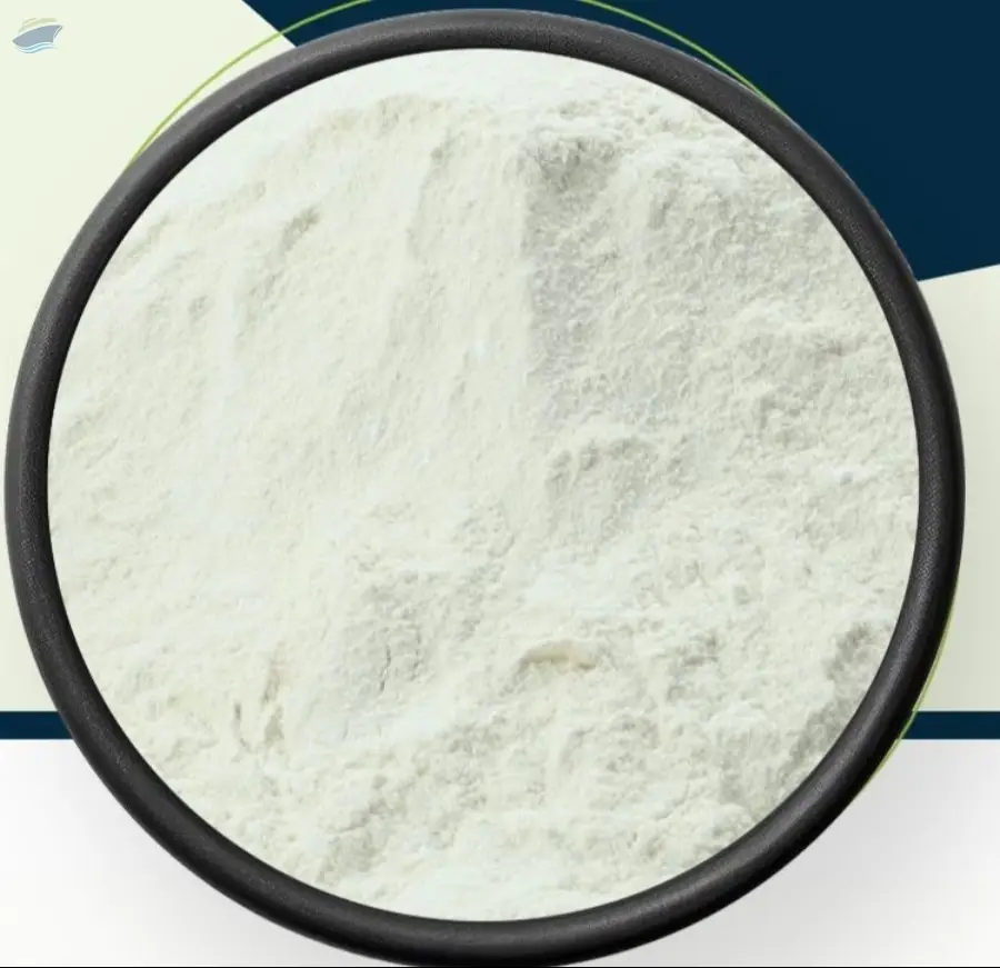 Dehydrated White Onion Powder