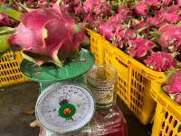 Fresh Dragon Fruit