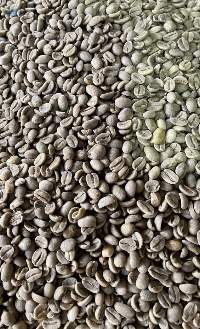 Robusta Coffee