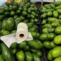 Fresh Avocado
