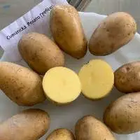 Cumarica Potato