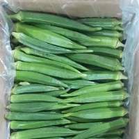 Okra (ladiesfinger)