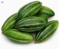 Pointed Gourd (Potol)