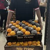 Egyptian Valencia Orange Class I