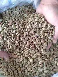 Robusta & Arabica Coffee