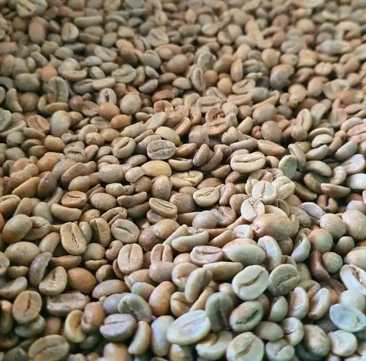 Premium Quality Robusta & Arabica Coffee