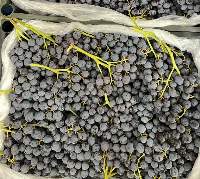 Premium Uzbek Seedless Grapes Black and White