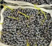 Premium Uzbek Seedless Grapes Black and White