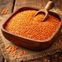 Premium Indian Red Lentils Masoor Export Grade
