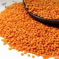 Premium Split Masoor Lentils Export Grade