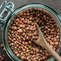 Premium Brown Lentils Export Quality Grade