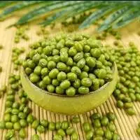 Premium Indian Green Gram Export Quality Grade