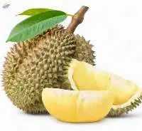Fresh Thai Durian  (Monthong Variety Available)