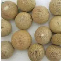 Betel Nuts