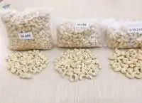 Cashew Nuts
