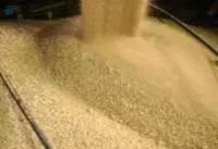 Animal Food