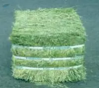 Alfalfa Hay
