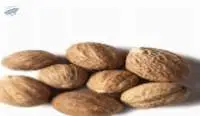 Nutmeg