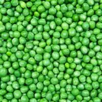 Green Pea