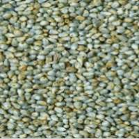 Green Millet