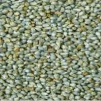 Green Millet
