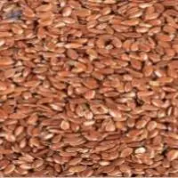 Flax Seed