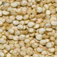 Quinoa Seed
