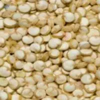 Quinoa Seed