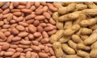 Peanut (Groundnut)