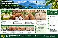 Coconut