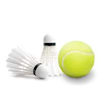 Sports Item