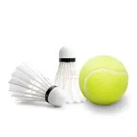 Sports Item