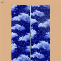 Ceiling Panels