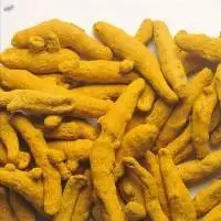 Turmeric