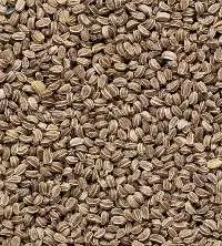 Celery Seed (Ajwain)