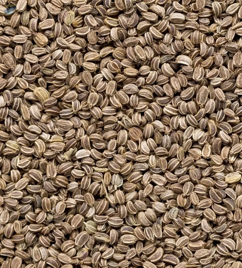Celery Seed (Ajwain)