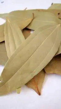 Bay Leaves