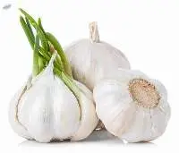 Fresh Garlic