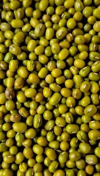 Mung Beans / Split Mung Beans