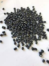 Whole & Split Black Gram -urad Beans