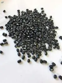 Whole & Split Black Gram -urad Beans