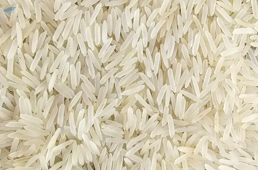 1509 Basmati Rice