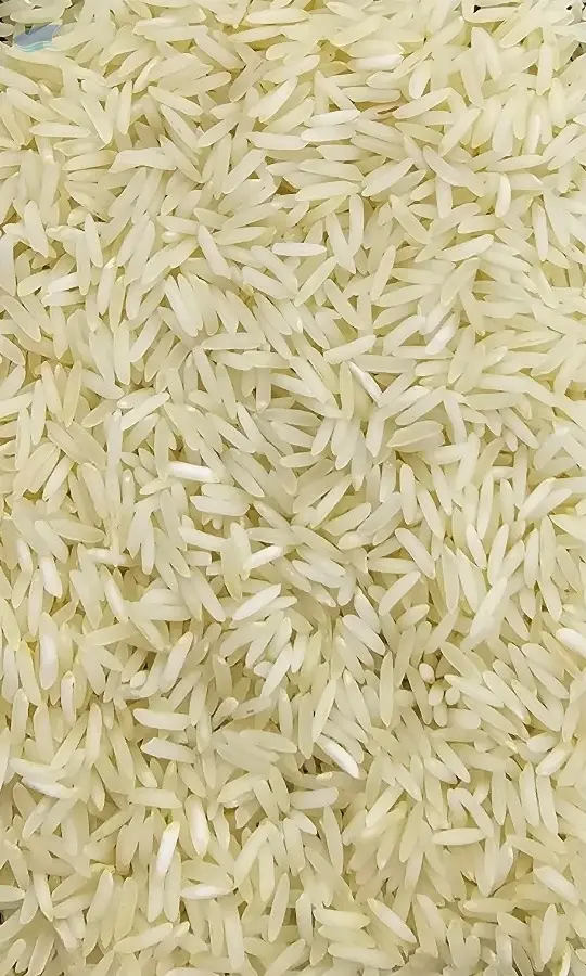 Sugandha Rice