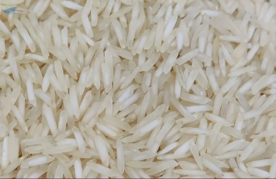 Sharbati Rice