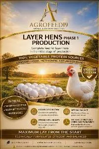 Laying Chickens Feed