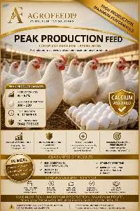 Peak Laying Hen Feed