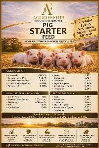 Pig Starter Feed