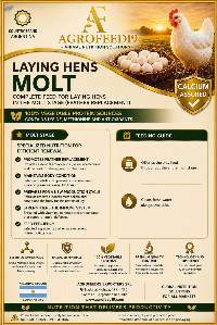 The Molting Stage Layer Feed